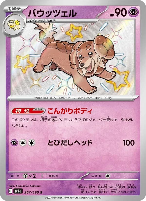 Dachsbun, kortbilde fra TCGdex
