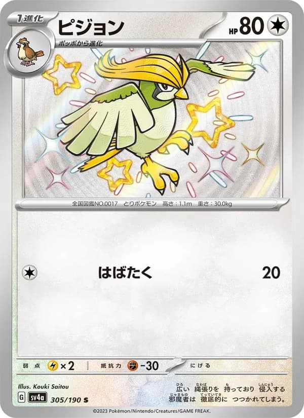 Pidgeotto, kortbilde fra TCGdex