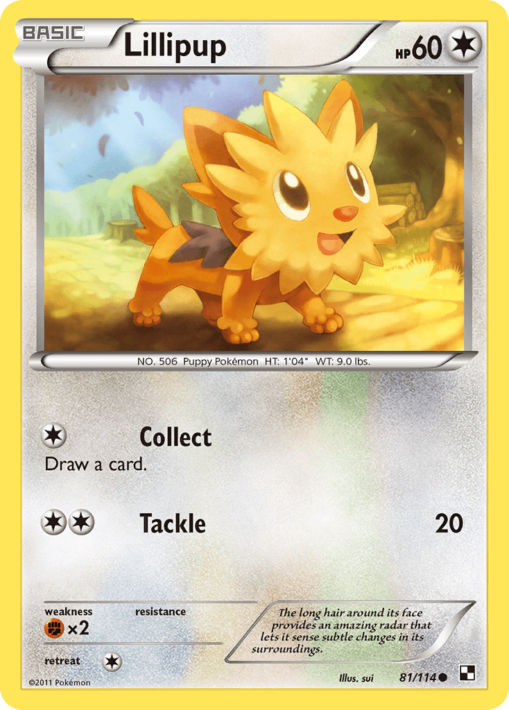 Lillipup, kortbilde fra pokemontcg.io