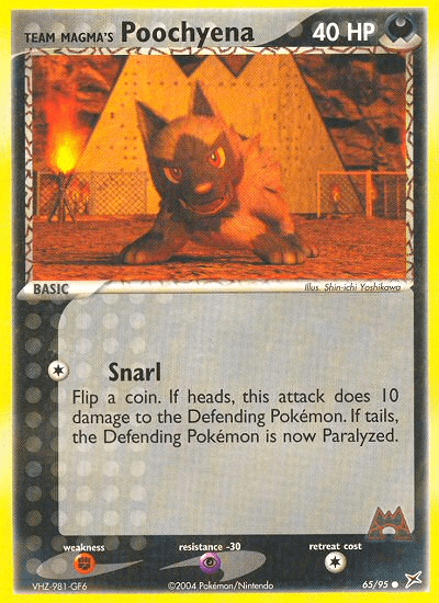 Team Magma's Poochyena, kortbilde fra pokemontcg.io