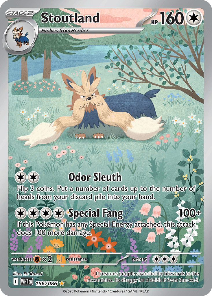 Stoutland, kortbilde fra pokemontcg.io