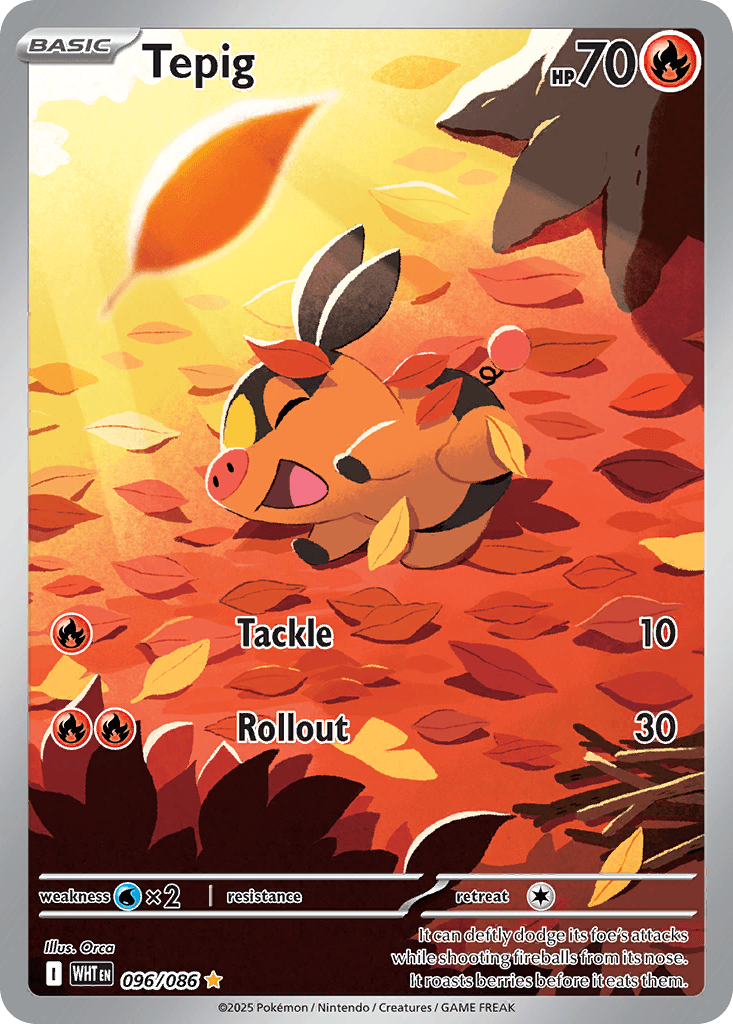 Tepig, kortbilde fra pokemontcg.io
