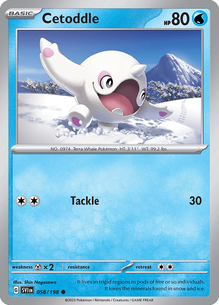 Cetoddle, kortbilde fra pokemontcg.io