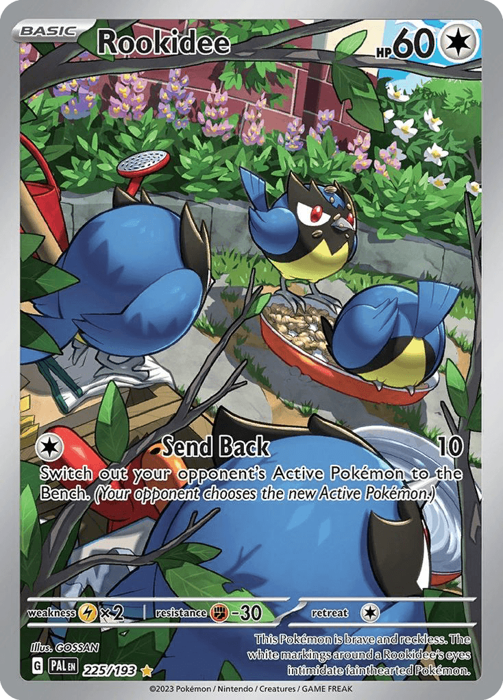 Rookidee, kortbilde fra pokemontcg.io
