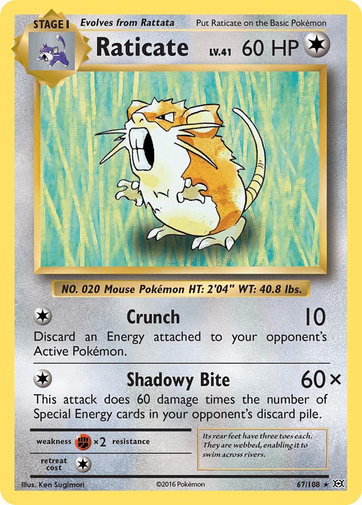 Raticate, kortbilde fra pokemontcg.io