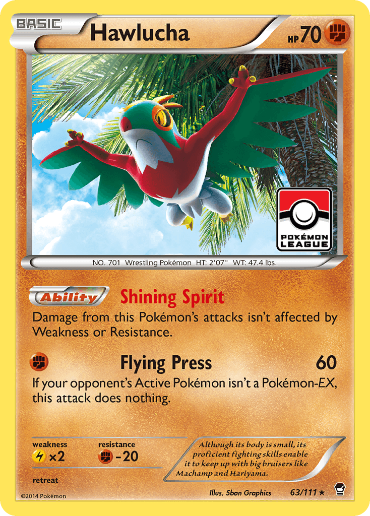 Hawlucha, kortbilde fra pokemontcg.io