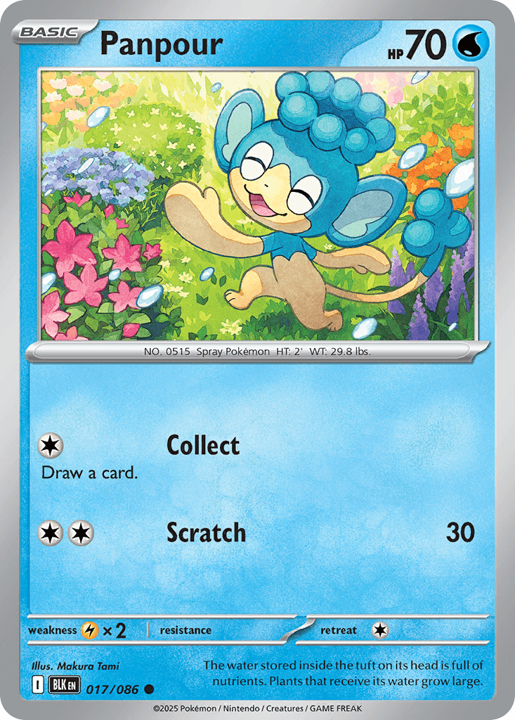Panpour, kortbilde fra pokemontcg.io