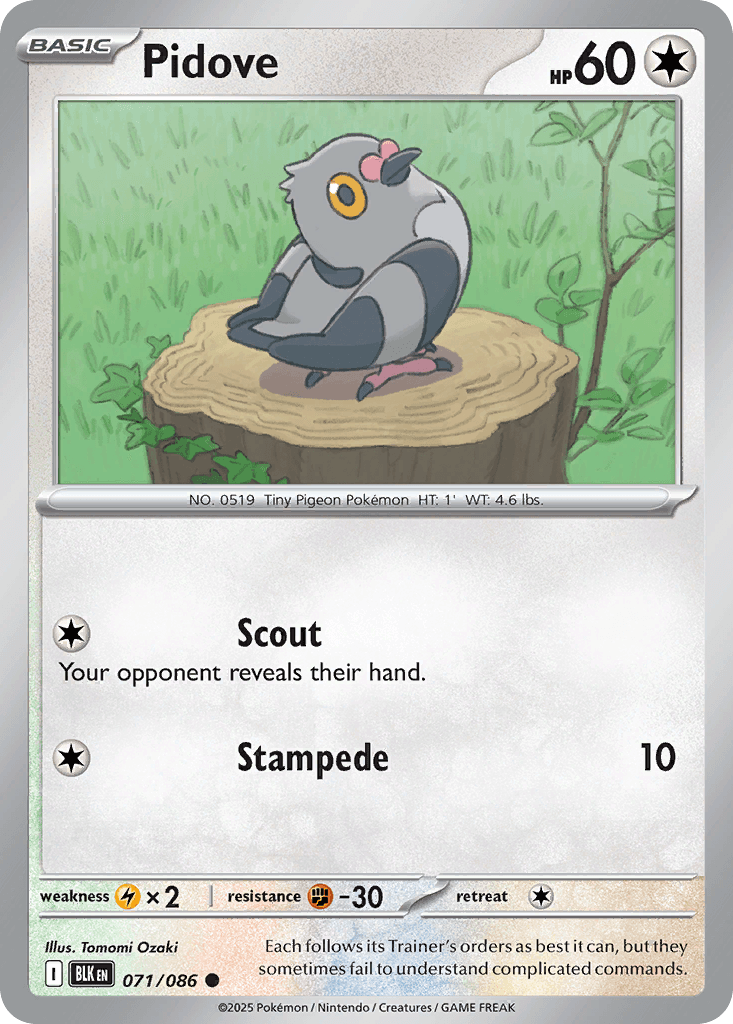 Pidove, kortbilde fra pokemontcg.io