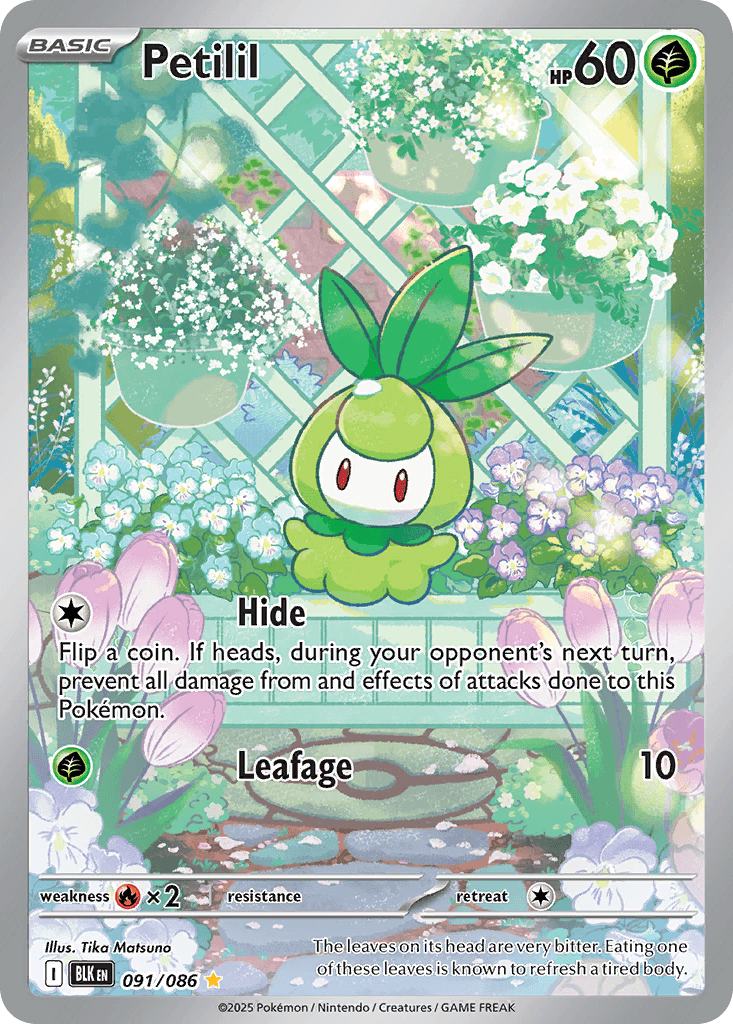 Petilil, kortbilde fra pokemontcg.io