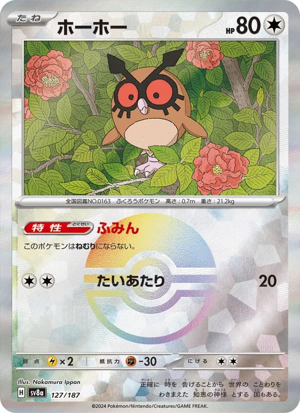 Hoothoot, kortbilde fra TCGdex