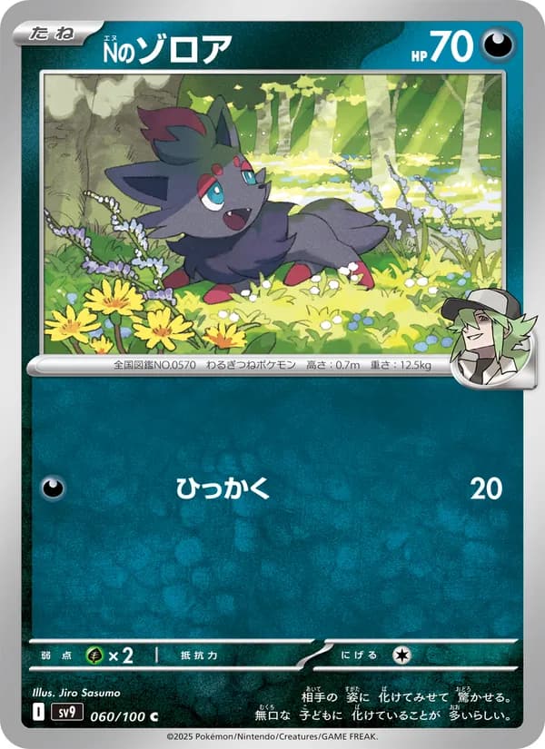 Nのゾロア, kortbilde fra TCGdex
