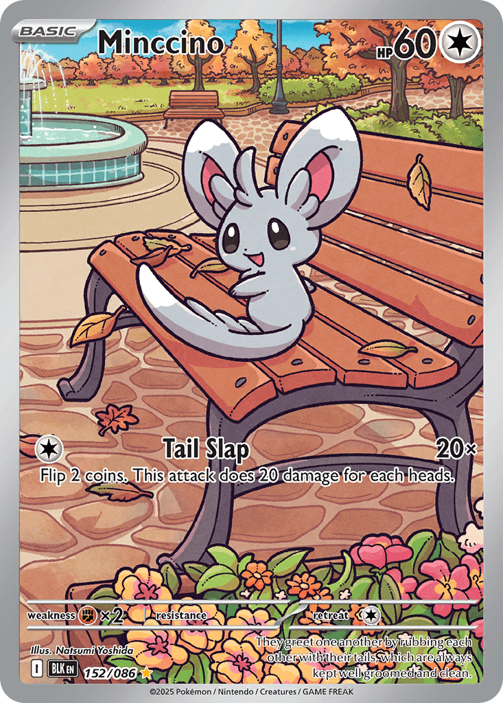Minccino, kortbilde fra pokemontcg.io